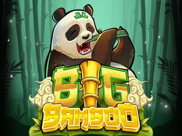 ph 646 casino login